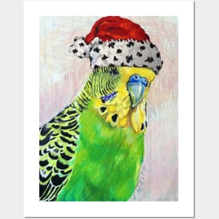 Santa Dean, my Budgie Posters and Art